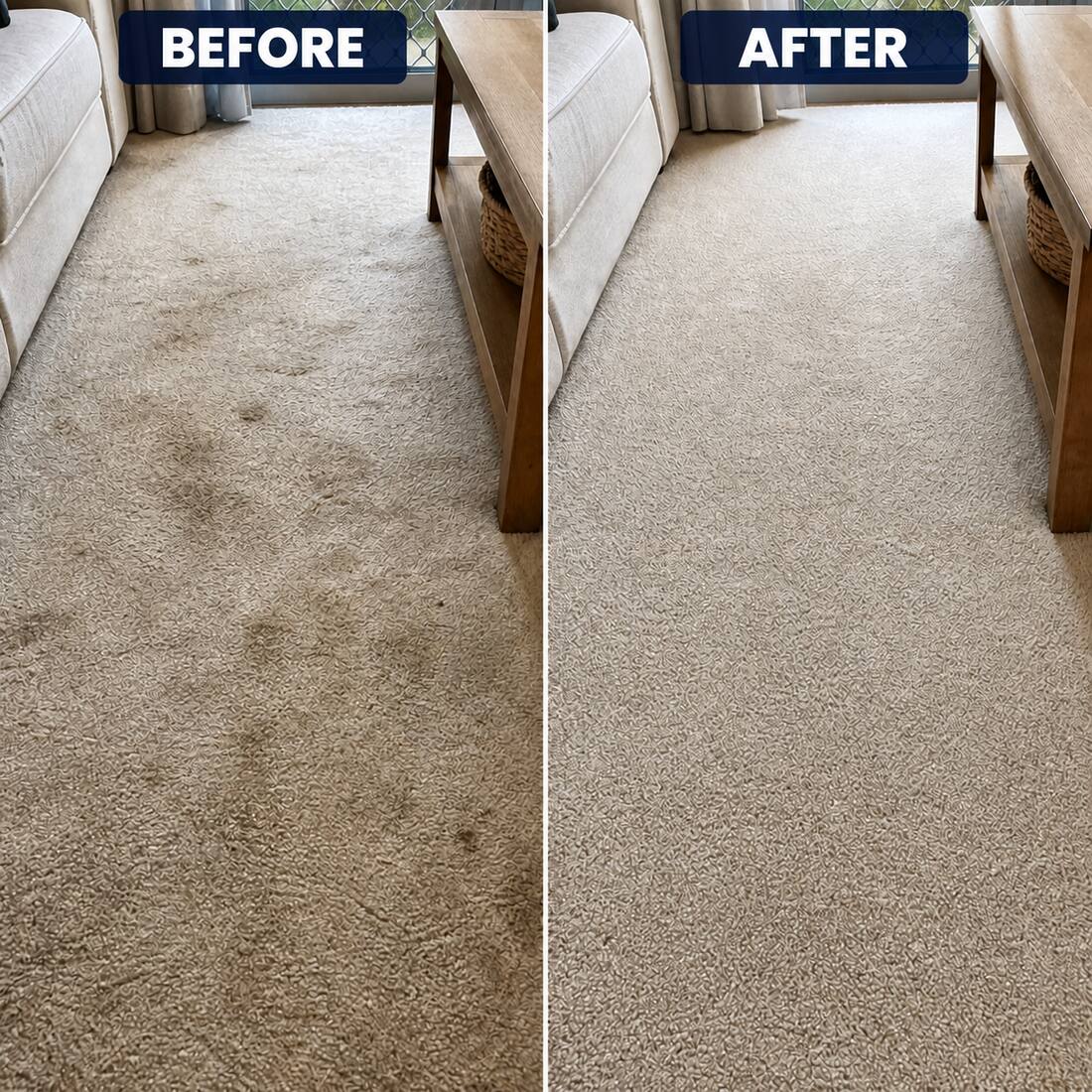 Before and after Carpet steam clean cleaning by Absolute Cleaning